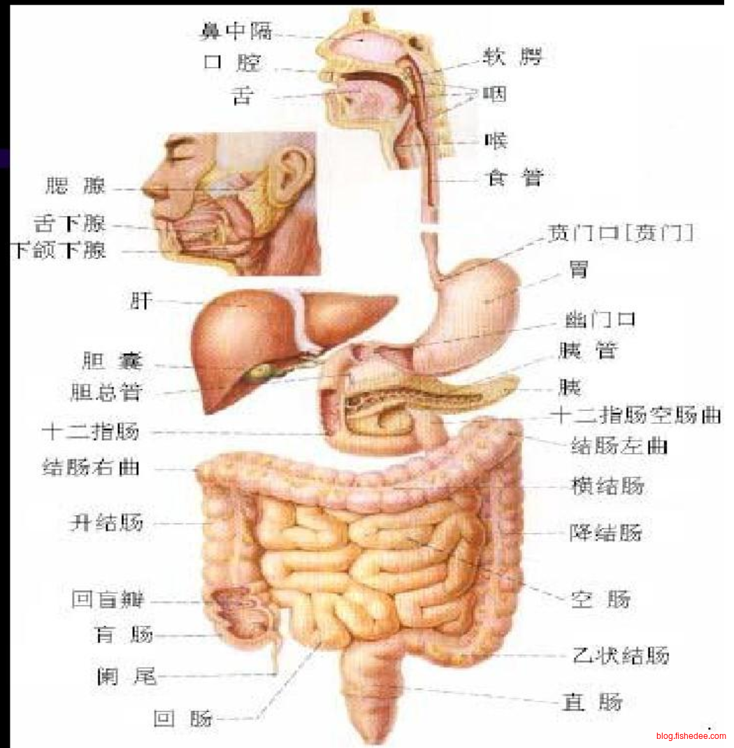 Screen Shot 2017-07-02 at 6.49.04 A