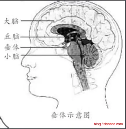 Screen Shot 2017-07-11 at 10.29.09 P